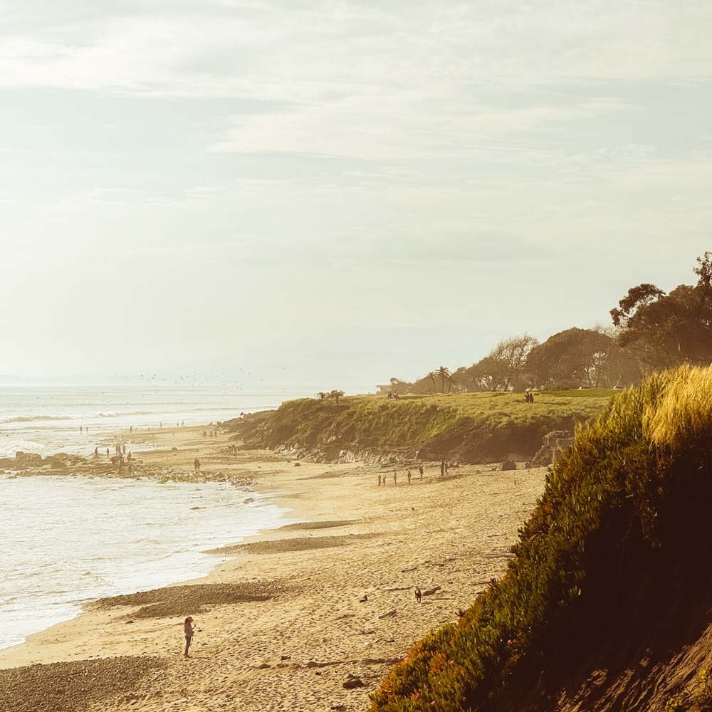 Meet your Posher, Jojo